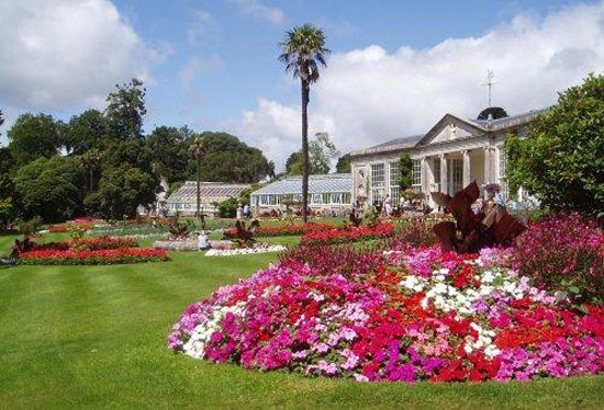 flowers at Bicton